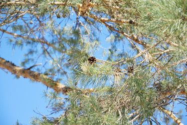 Similar image 6148121