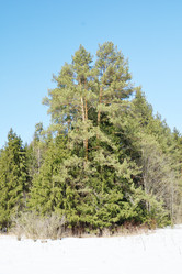 Similar image 6148122