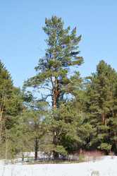 Similar image 6148123