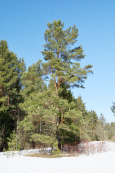 Similar image 6148125