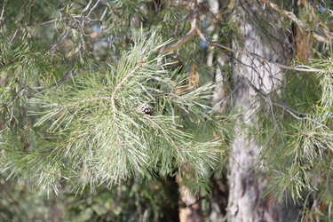 Similar image 6148126