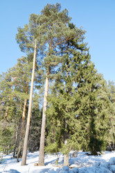 Similar image 6148127