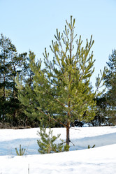 Similar image 6148129