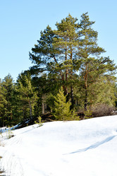 Similar image 6148131