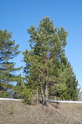 Similar image 6148133