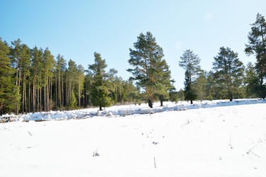 Similar image 6148134