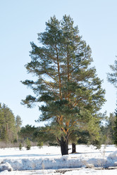 Similar image 6148135