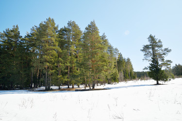 Similar image 6148136