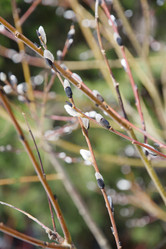 Similar image 6148137