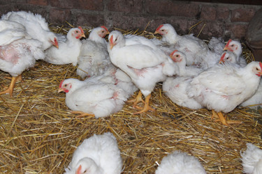 Similar image 6148142