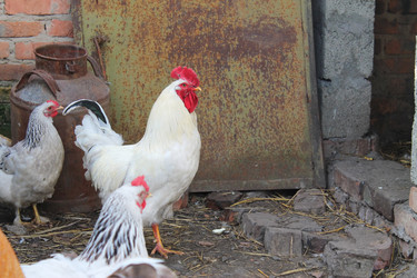 Similar image 6148143