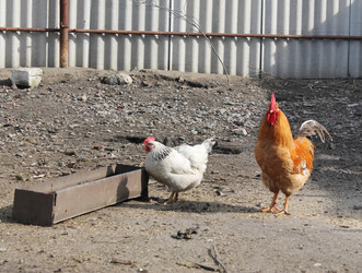 Similar image 6148144