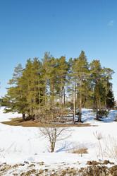 Similar image 6148149