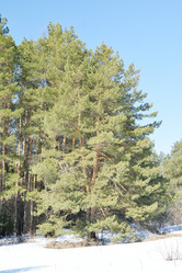 Similar image 6148150