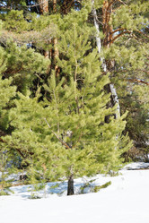 Similar image 6148151