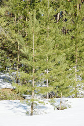 Similar image 6148153