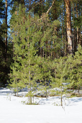 Similar image 6148156