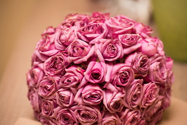 Similar image 6148215