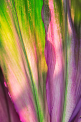 Similar image 6148736