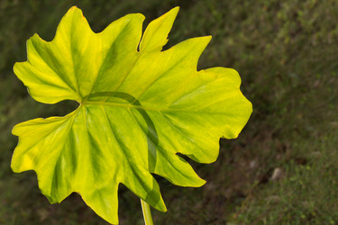 Similar image 6148739