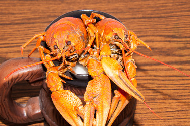 Similar image 6148865