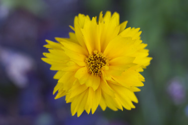 Similar image 6148919