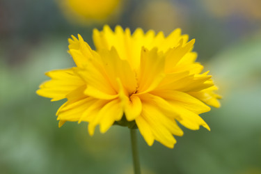 Similar image 6148920