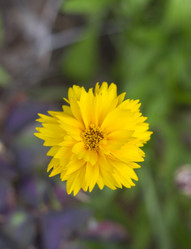 Similar image 6148927