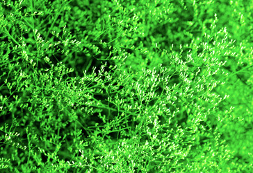 Similar image 6149001