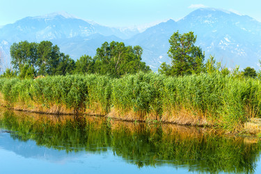 Similar image 6149020