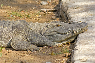 Similar image 6149048