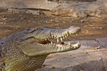 Similar image 6149050