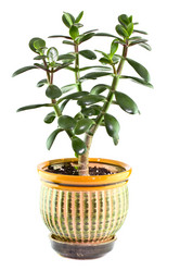 Similar image 6149074