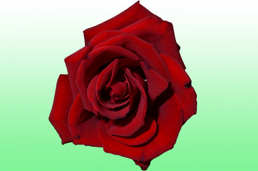 Similar image 6149164