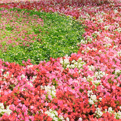 Similar image 6149196