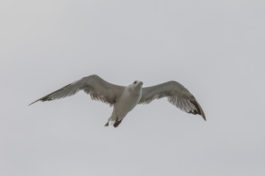 Similar image 6149213