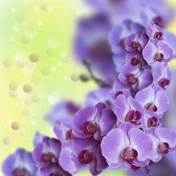 Similar image 6177847