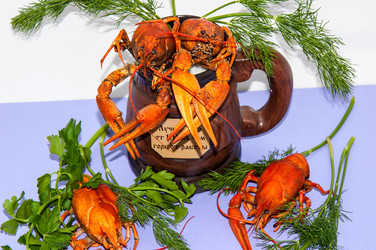 Similar image 6177894