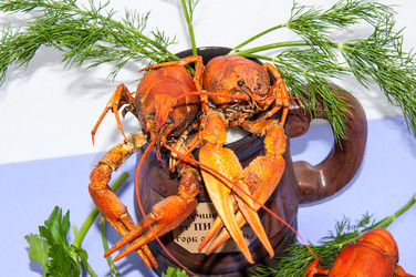 Similar image 6177895