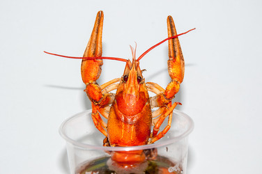 Similar image 6177908