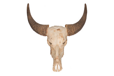 Similar image 6177909