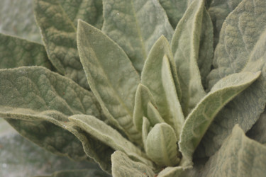 Similar image 6177966