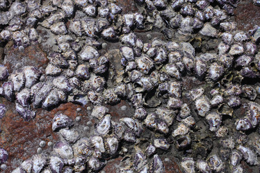 Similar image 6178021