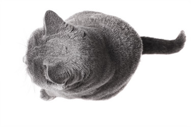 Similar image 6178026