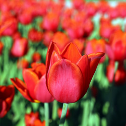 Similar image 6178043