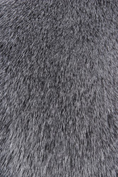 Similar image 6178045