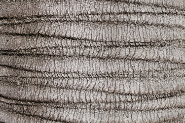 Similar image 6178048