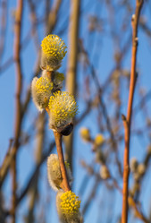 Similar image 6178339