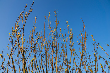 Similar image 6178340