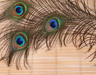 Similar image 6178379